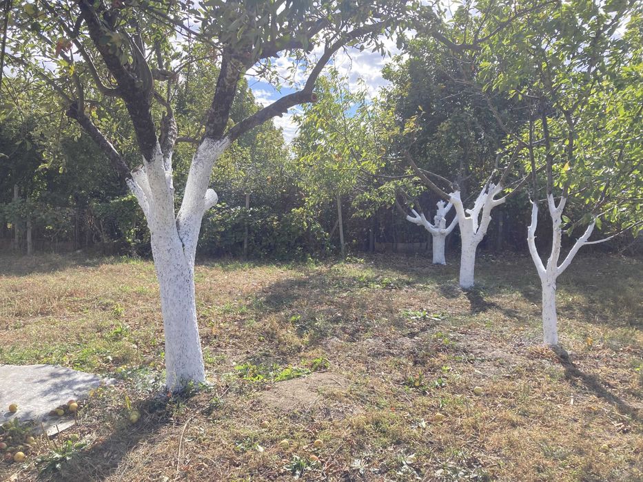 Продава се Къща в София, Младост 1 - 92 кв.м за 381 €/кв.м - Снимка #13