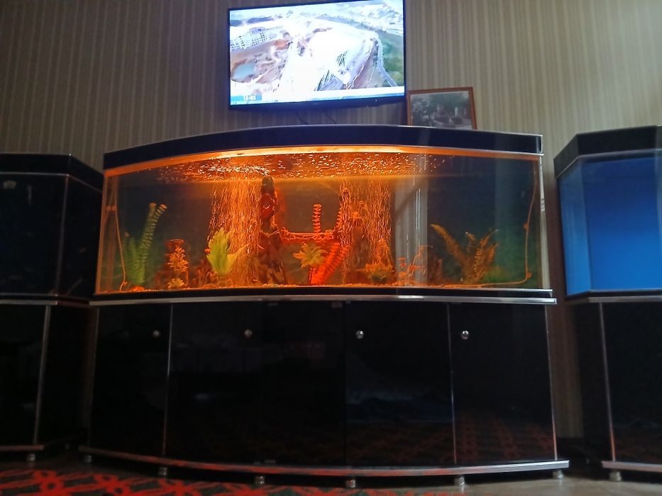 Аквариум сотилади.