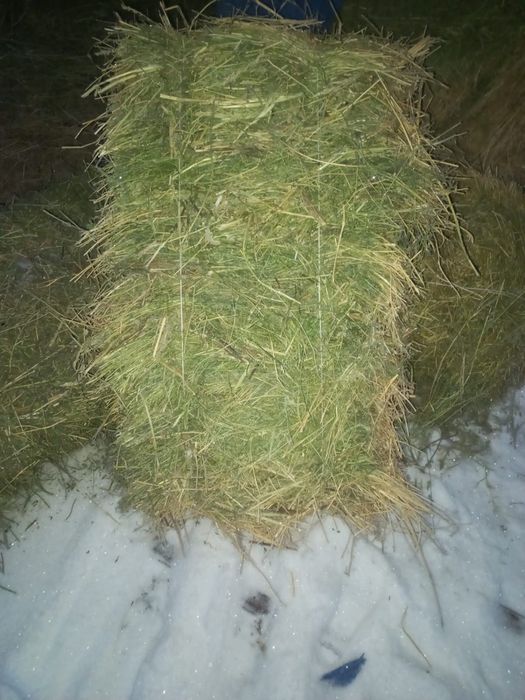 Продам Сено,крупные тюки