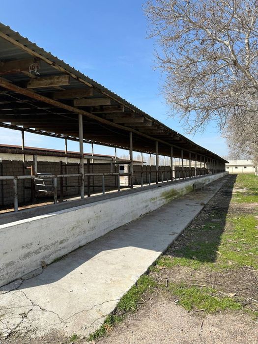 Ferma 7 gektar  ферма