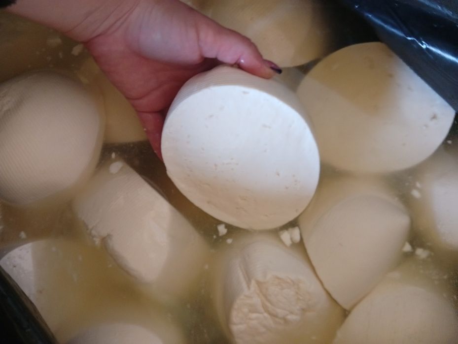 brânză de vacă de vânzare