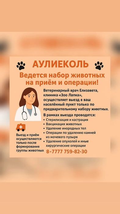 Ветеринарные услуги