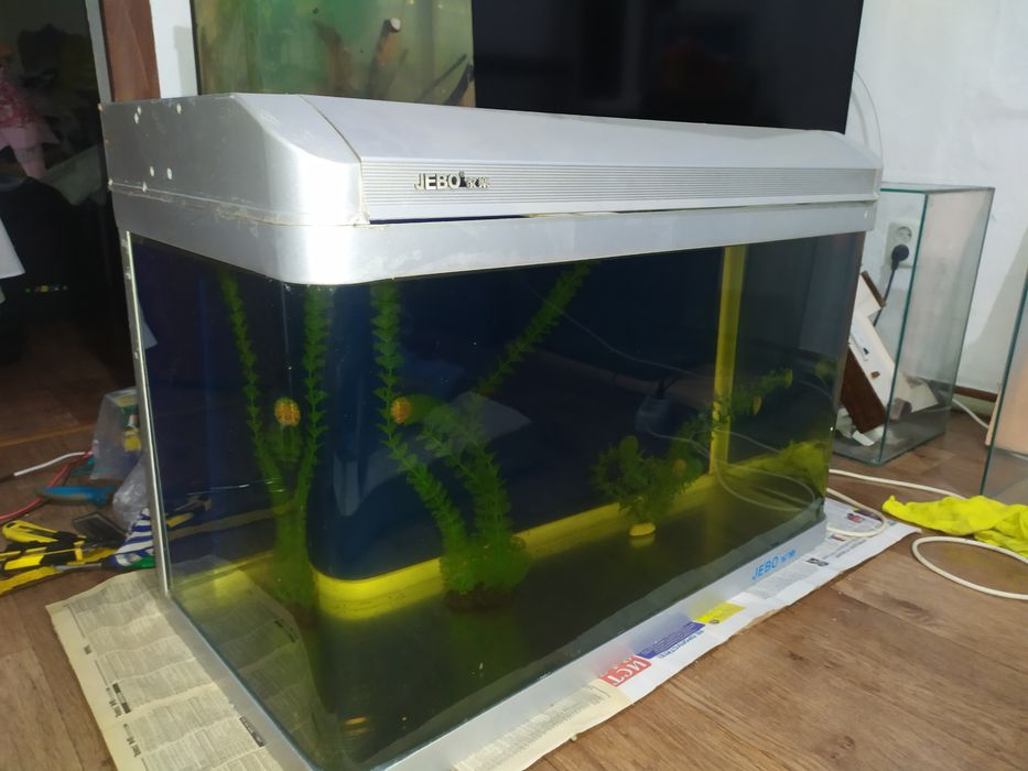 Заводской 156л JEBO.