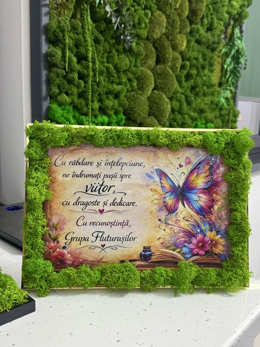 Realizez tablori personalizate cu licheni naturali si diferite plante.