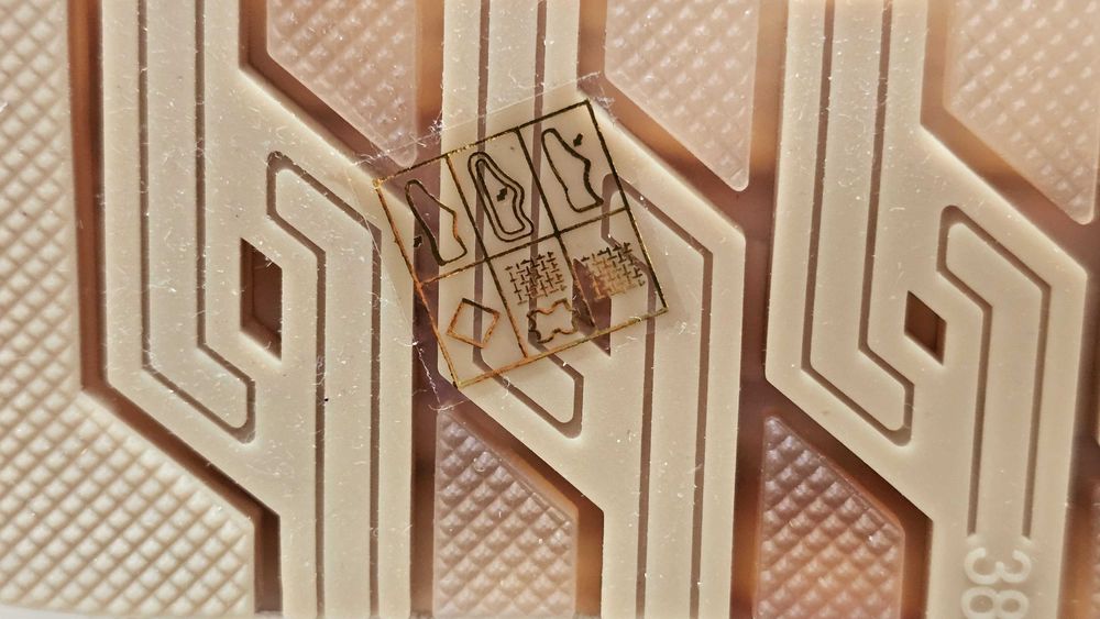 Mocasini damă - bej