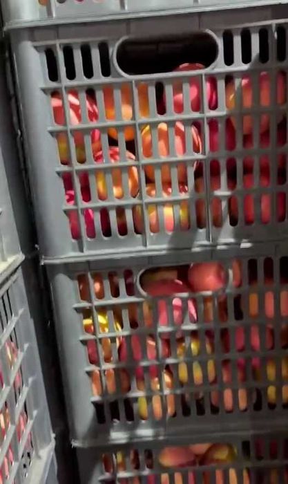 Ҳар хил навдаги олмалар сотилади