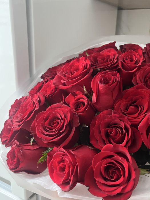 Цветы роза 25 шт