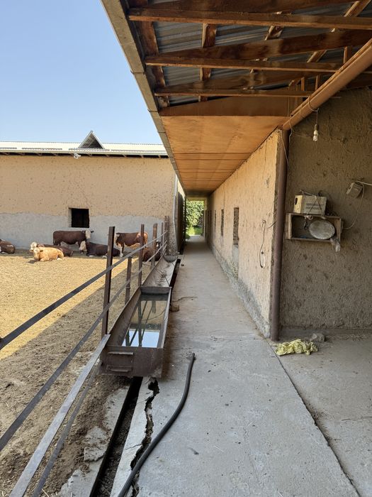 Участок (ферма), сад свой