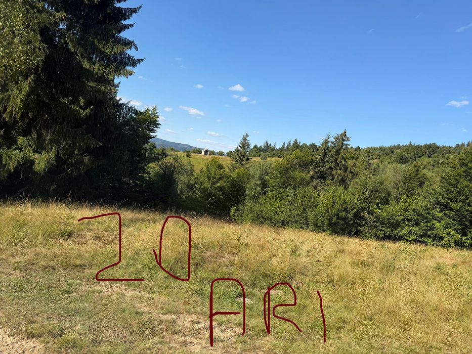 Vand teren extravilan / Zona Salatruc