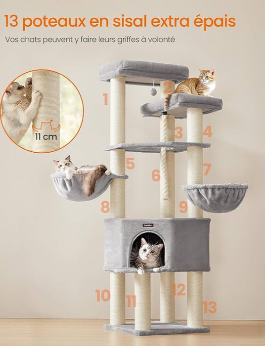 Голямо котешко дърво Мейн Куун Feandrea