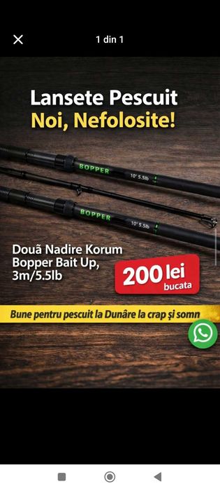 Pescuit  pe Dunăre