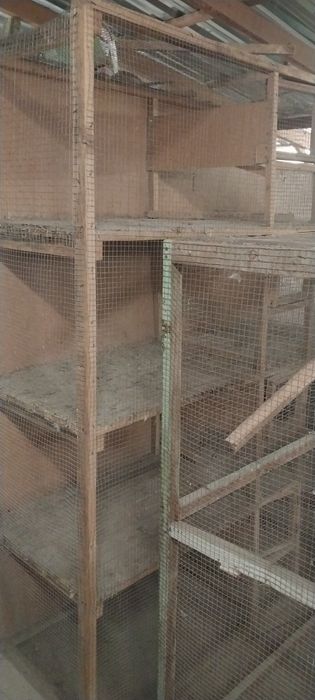 To'rt qavatli katak sotiladi.