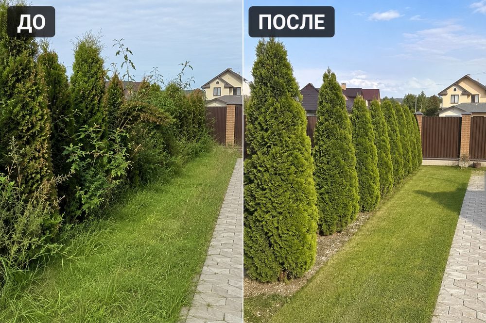 Озеленение домов
