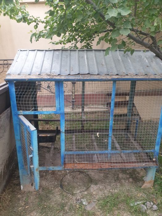 Tovuqlar uchun Katak