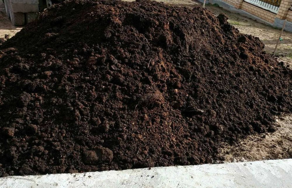 Продам перегной.