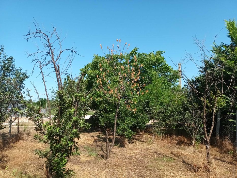 Casa Maracineni 4 camere pret apartament, toate utilitățile, la 2 km BZ