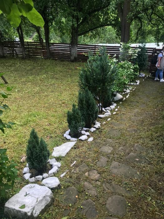 Casa de vanzare Gura Teghii sat Vaarlam