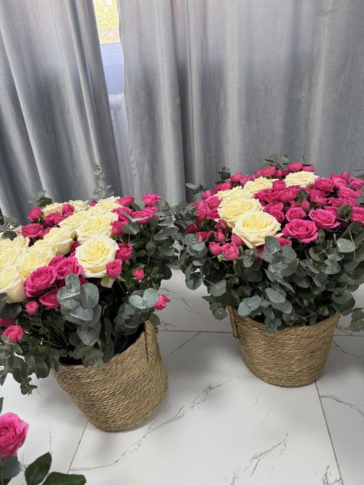 АЛМАТЫ цветы продаю срочно