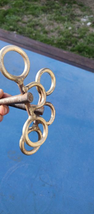 Zabala nemțească/strună cal