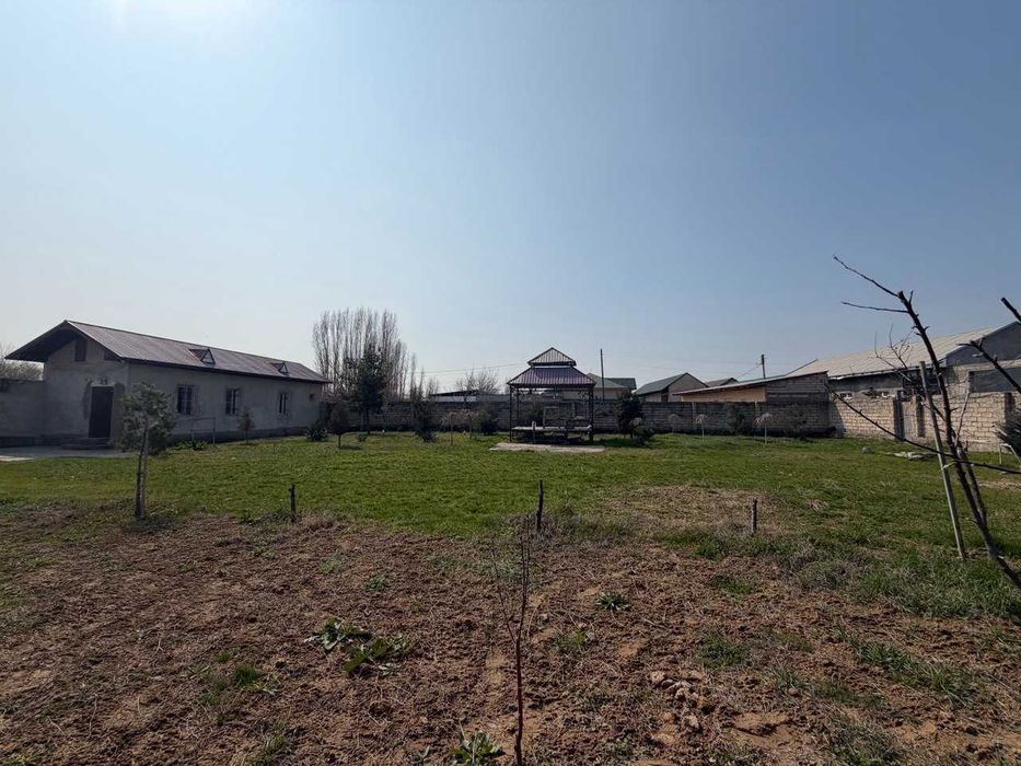 16 соток земли у воды рядом с Ташкентом — всего 13 км от круга Рохат