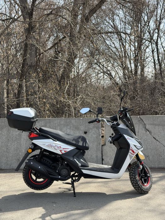 ДОКУМЕНТАМИ СКУТЕР оптом и в розницу