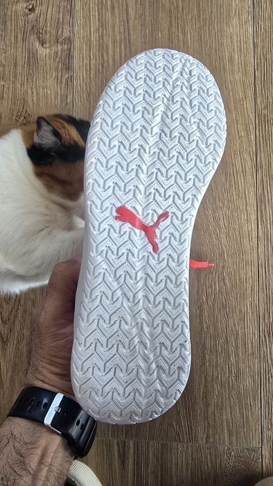 Pantofi sport Ferrari  noi de vanzare