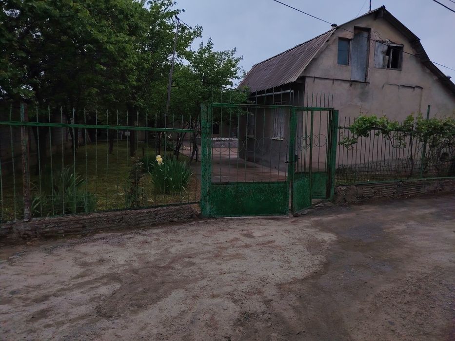 Dacha chirchiq daryo