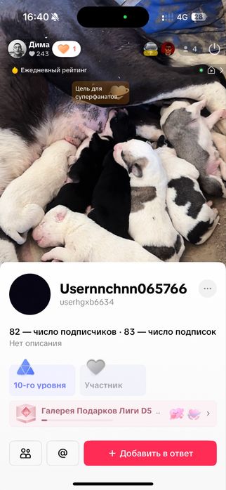 Каракене асты үсті Ақбаи  3 еркек бар