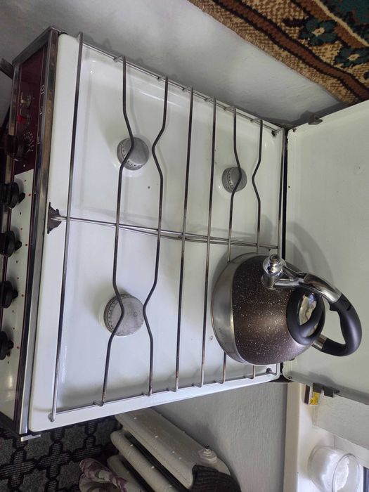 Газовая плита для дома или дачи.