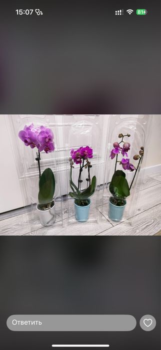 Цветы в колбе 50 см