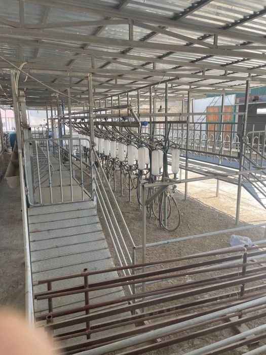 Сдаётся в аренду молочное оборудование