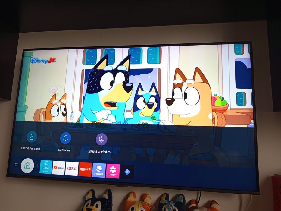 Televizor Samsung