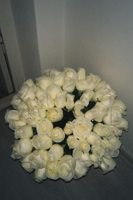 71 шт. голландские розы