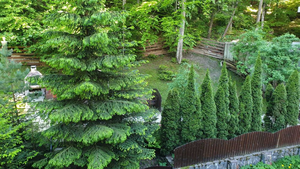 Apartament cu doua camere Sinaia | Vedere superbă către pădure și Munții Bucegi | Ideal atât pentru locuit, cât și pentru investiție