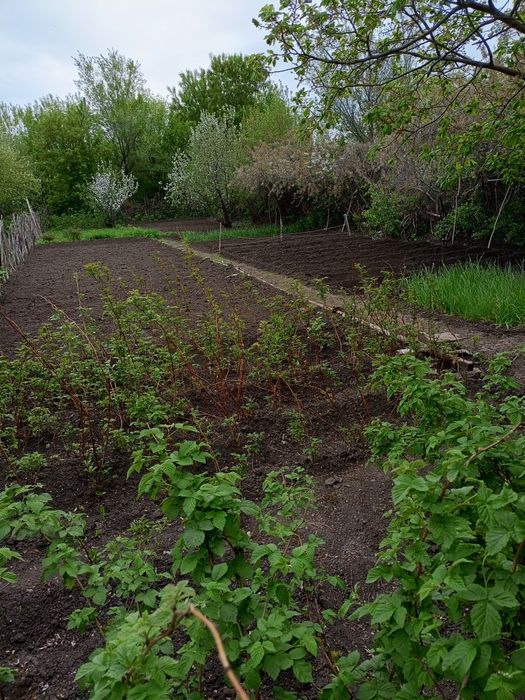 Продам дачу в кооперативе АЗФ7