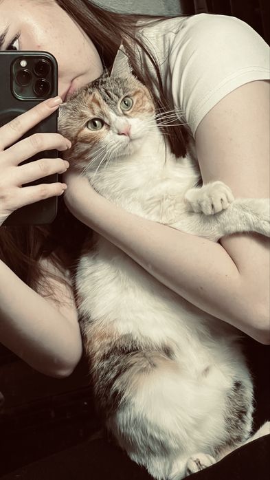 отдалим кошку в хорошие руки.