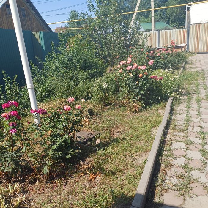 Аренда дома, продажа дома