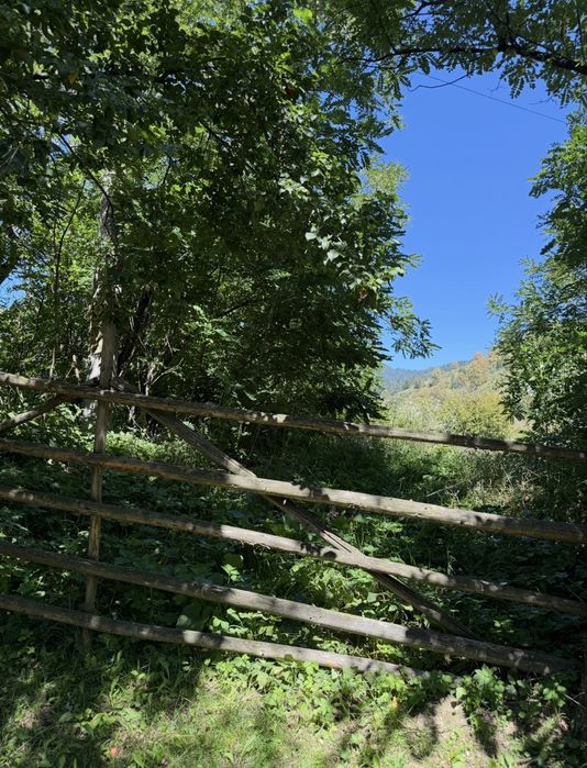 Vând Teren Intravilan 6710 mp în Tulgheș, Harghita