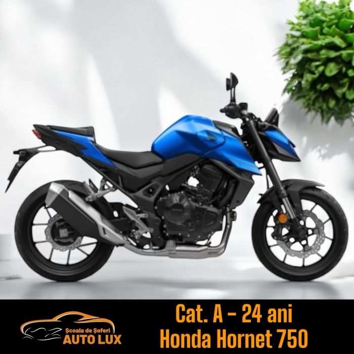 Scoala de soferi AUTO LUX /Cat. A, A2, A1, B, BE, C, CE, D / Satu Mare