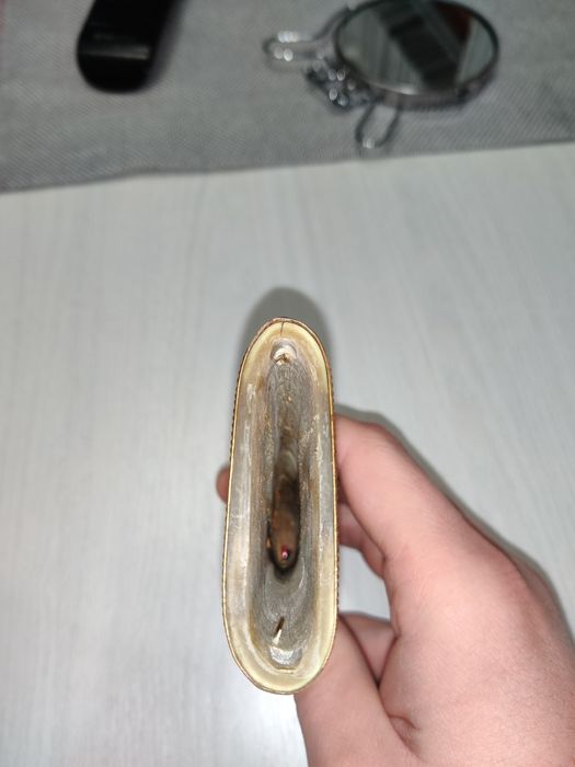 Пороховница СССР