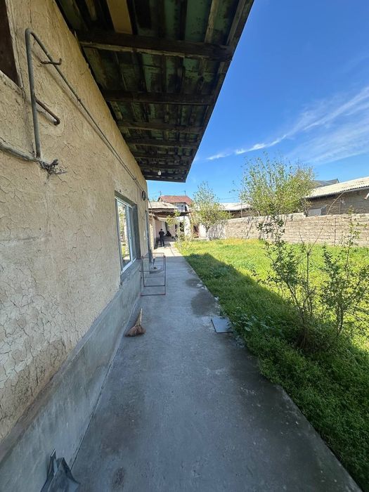 Hovli sotiladi sirgali tuman