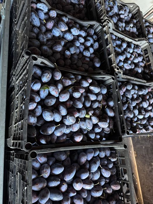Prune pentru consum