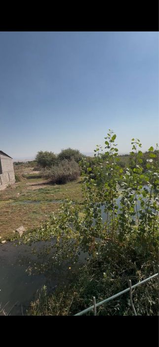 Продается дача в Чирчике