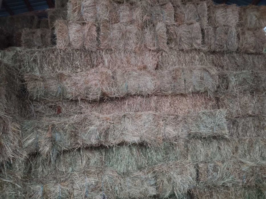 Eladó széna balak.