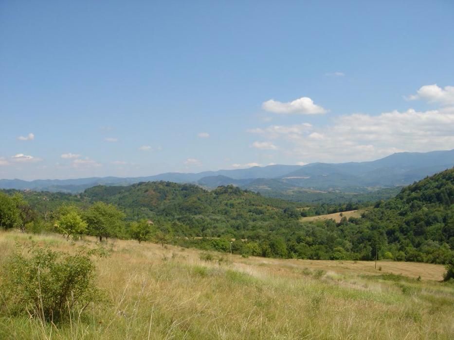 Парцел 6 000 м2 Априлци с ПУП