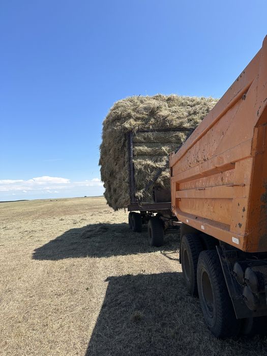 Продам прицеп сеновозка птс -13