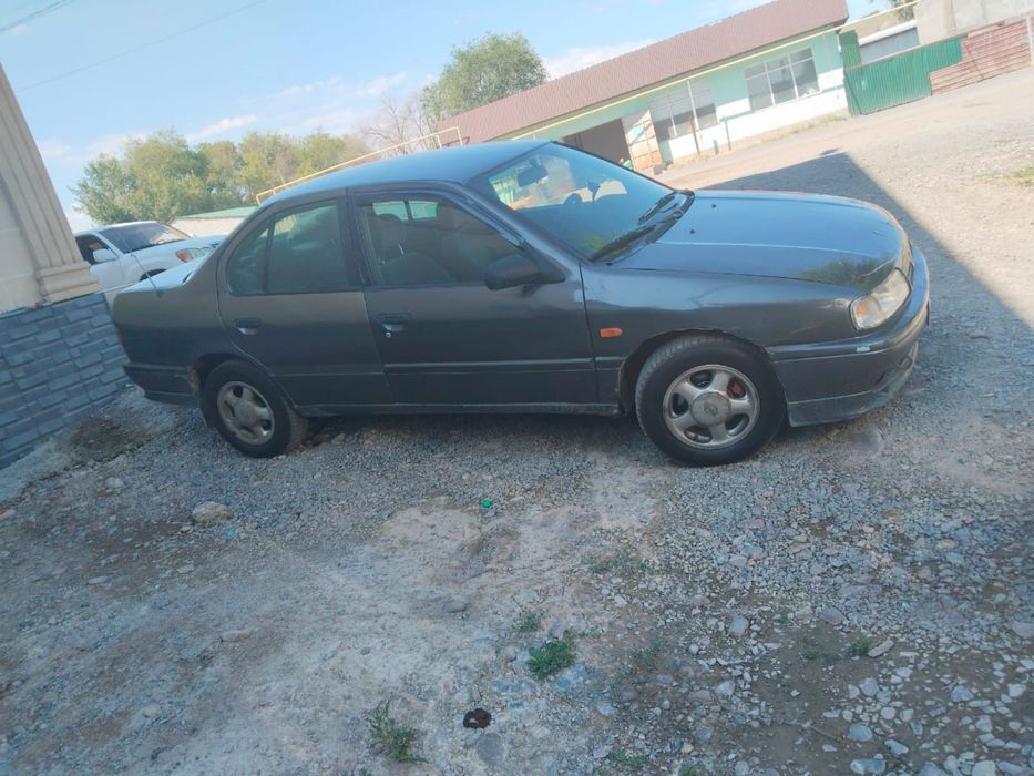 Nissan Primeraaa