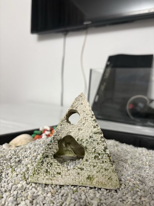 Аквариум+ декоративные элементы