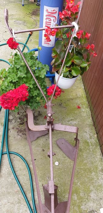 De vanzare pentru cunoscatori