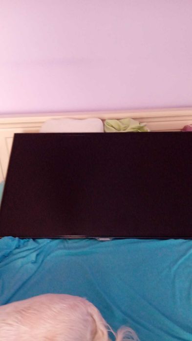 Samsung Smart TV 101cm